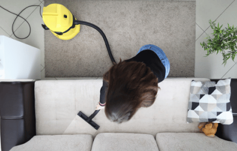 plants that keep the air clean