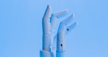 Finding the Right AI Tools for Your Business