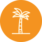 Frame 2147224759 (1)