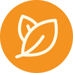 Frame 2147224759 (3)