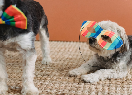 A Guide To The Best Festival Food & Drinks