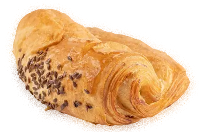 Lemon Seed Scones
