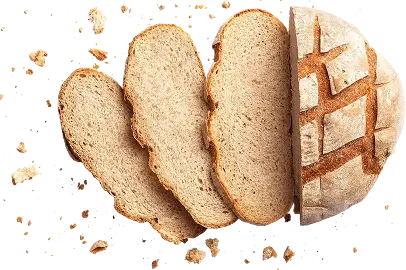 Sourdough Loaf