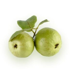 Guava