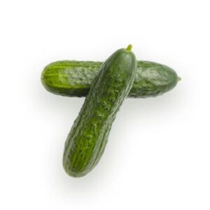 Cucumber