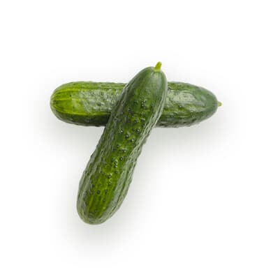 Cucumber
