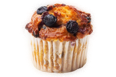 Blueberry Muffin