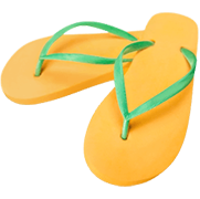 Flip Flops