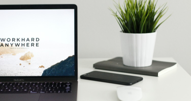 Design Principles for Successful Brands