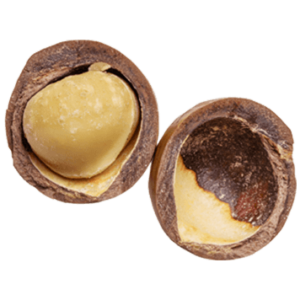 Macadamia