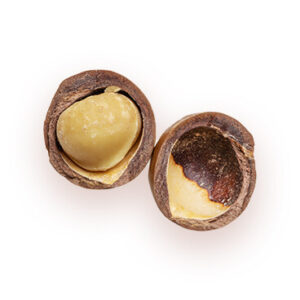 Macadamia