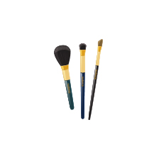 Makeup Brush