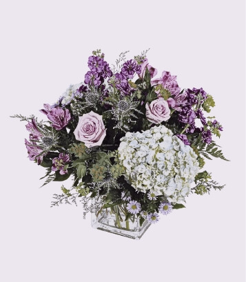 Vintage Violets