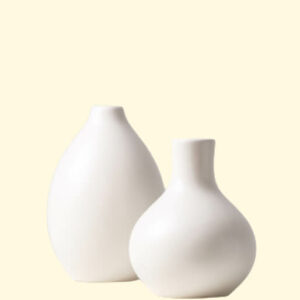 Exquisite Porcelain Vases