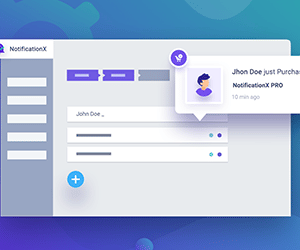 How to display custom Notification Alerts on your website