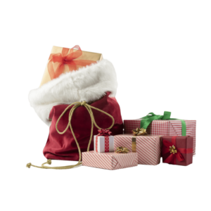 Christmas Pet Box