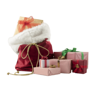Christmas Pet Box