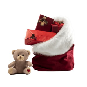 Christmas Pet Box