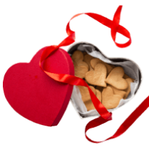 Biscuit Box